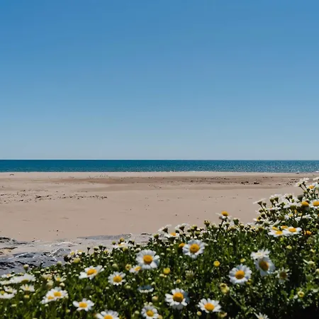 Apartman T2 En Rdc, 6 Pers, Narbonne-plage, 100m De La Mer, Animaux Ok, Cuisine Equipee, Wifi - Fr-1-409-149 Narbonne