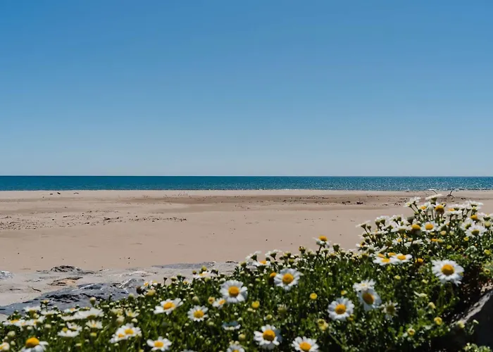 Apartment T2 En Rdc, 6 Pers, Narbonne-plage, 100m De La Mer, Animaux Ok, Cuisine Equipee, Wifi - Fr-1-409-149 Narbonne